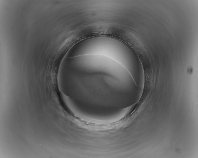 X0000091210035200708091356