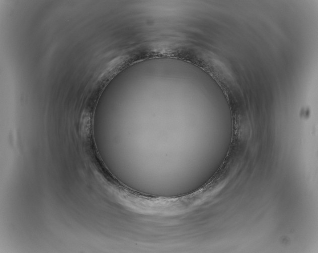 X0000091210036200708091356