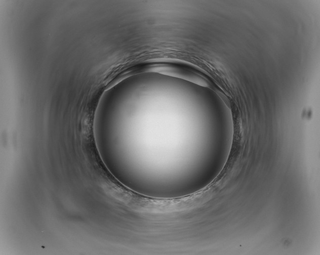 X0000091210037200708091356