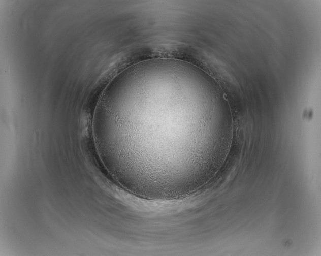 X0000091210038200708091356