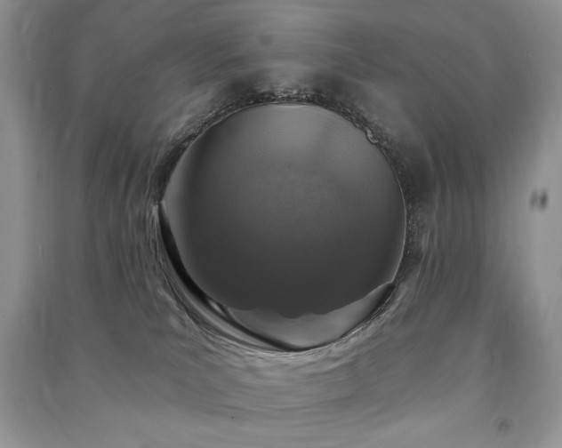 X0000091210039200708091356