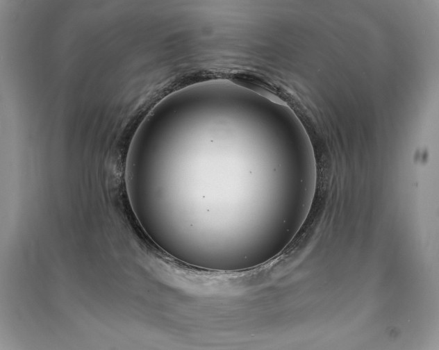 X0000091210040200708091356
