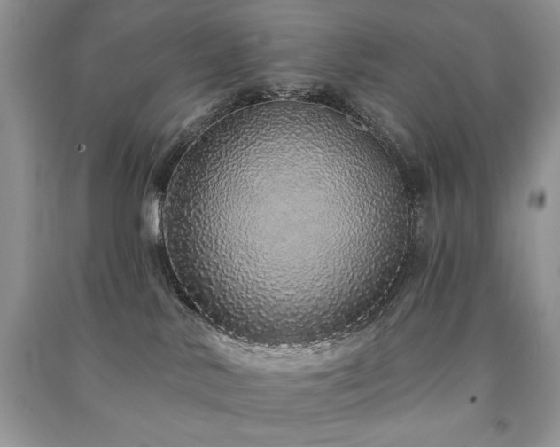X0000091210042200708091356