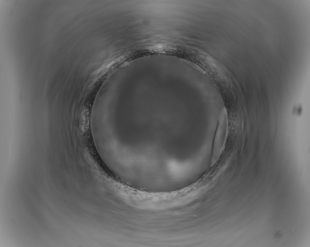 X0000091210043200708091356