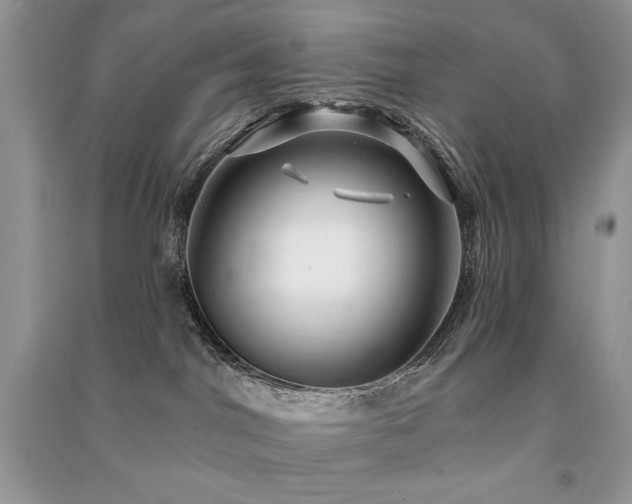 X0000091210044200708091356