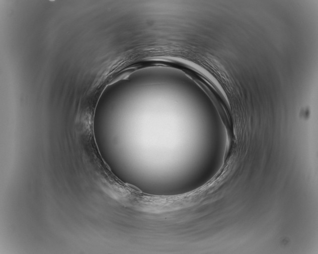 X0000091210045200708091356
