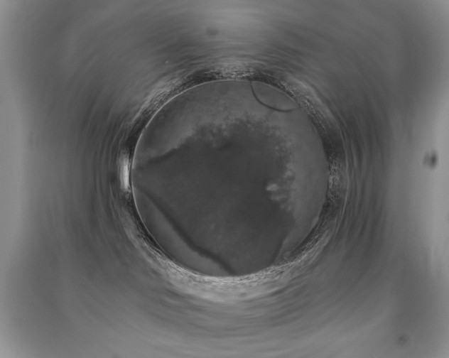 X0000091210046200708091356