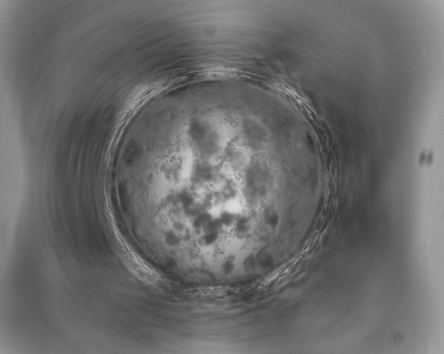 X0000091210049200708091355