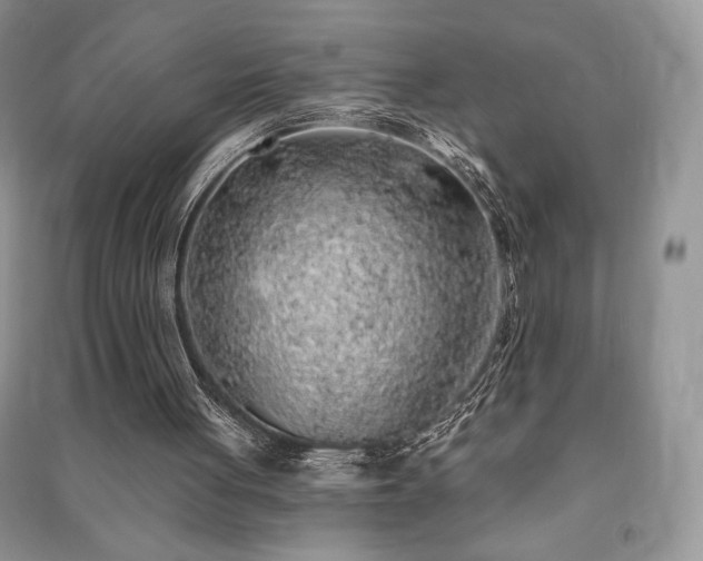 X0000091210051200708091355
