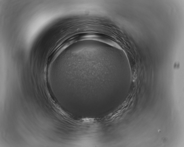 X0000091210052200708091355