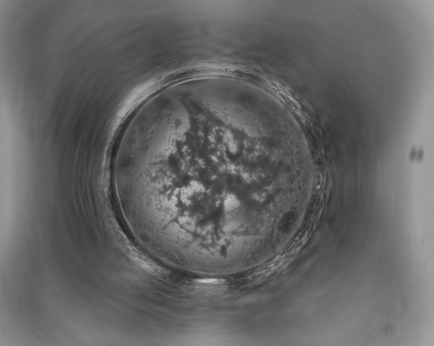 X0000091210053200708091355