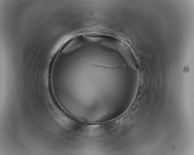 X0000091210054200708091355