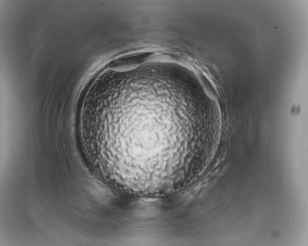 X0000091210055200708091355