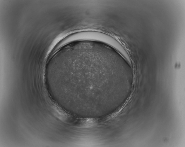 X0000091210056200708091355