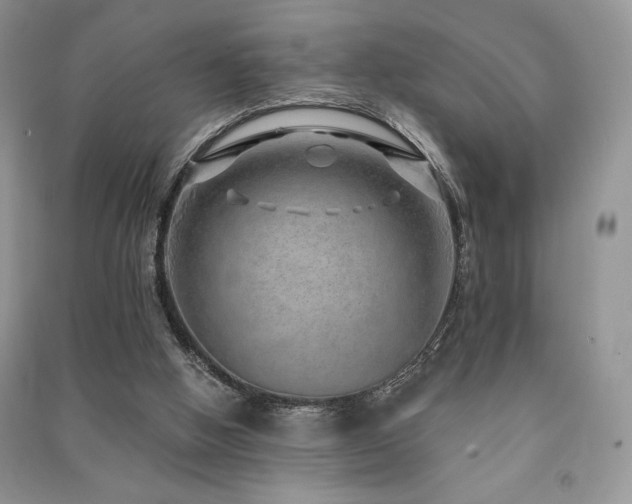X0000091210058200708091355