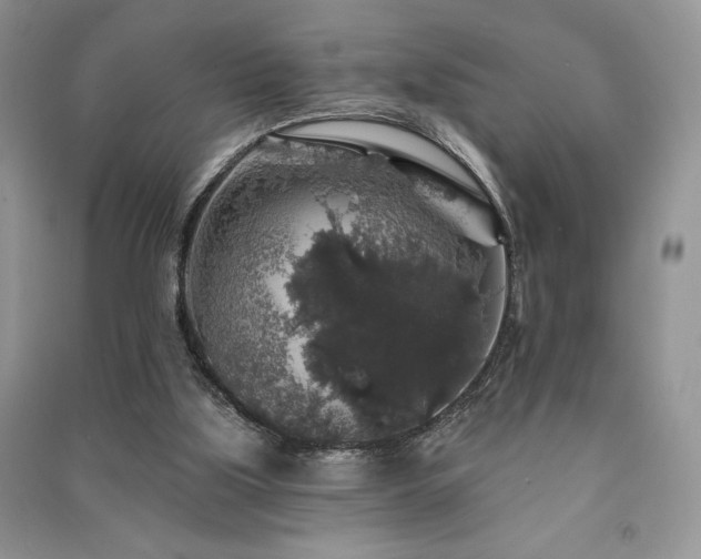 X0000091210059200708091355