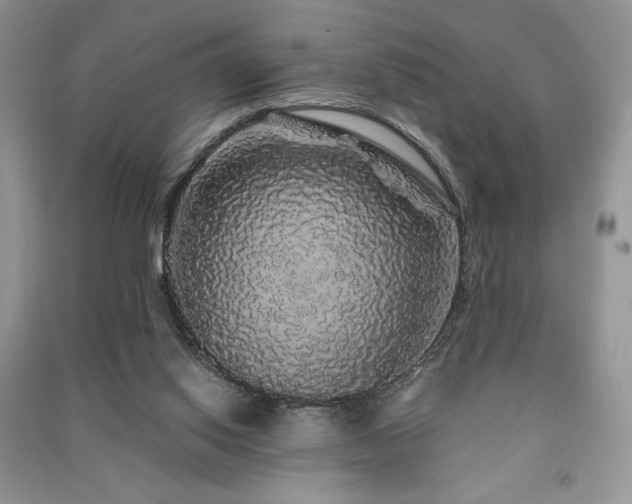 X0000091210062200708091355