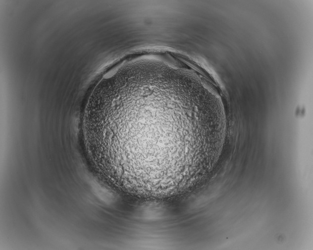 X0000091210063200708091355