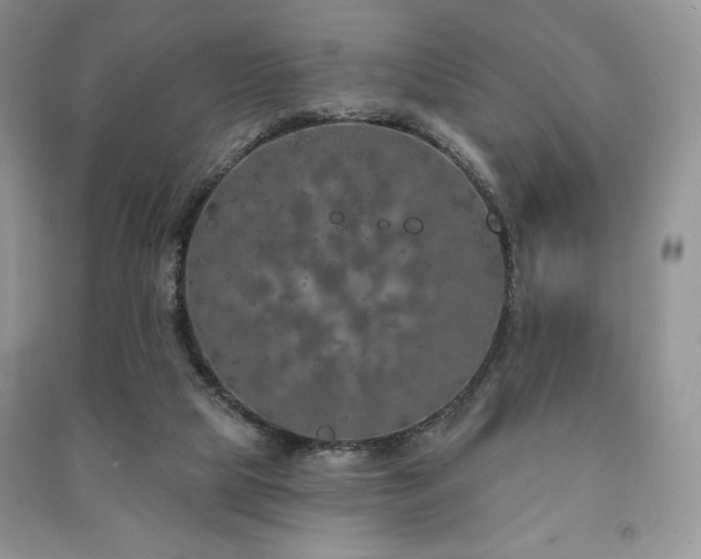 X0000091210065200708091355
