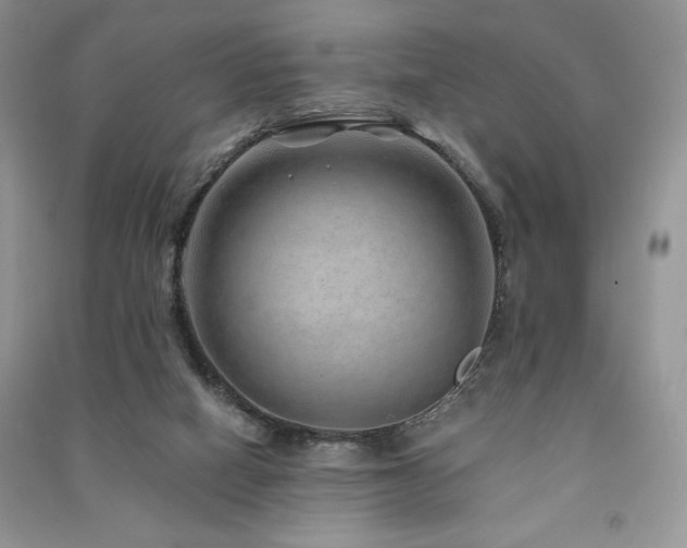 X0000091210066200708091355