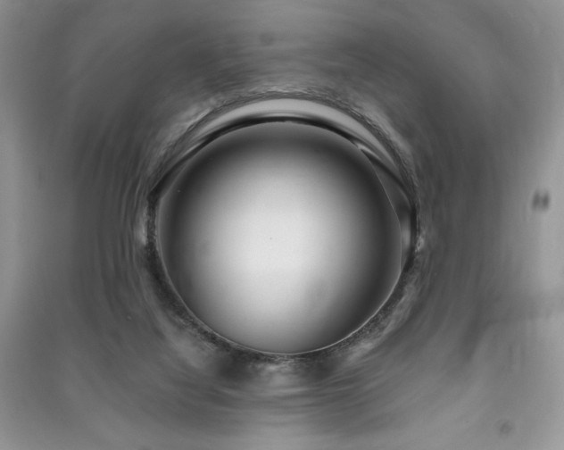 X0000091210068200708091355