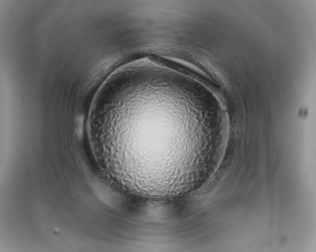 X0000091210070200708091355