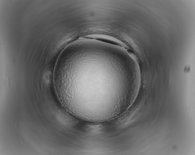 X0000091210071200708091355