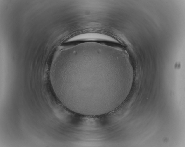 X0000091210073200708091355