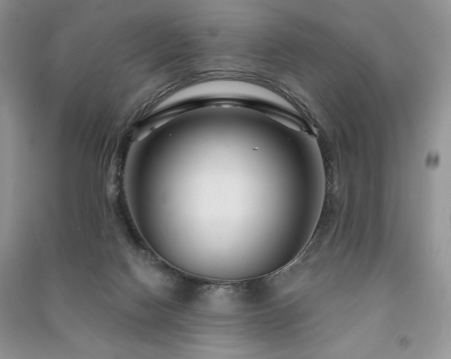 X0000091210074200708091355