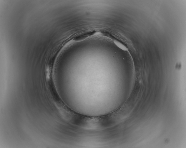 X0000091210075200708091355