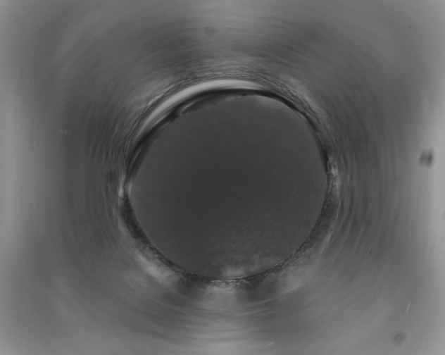 X0000091210076200708091355