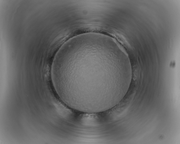X0000091210077200708091356