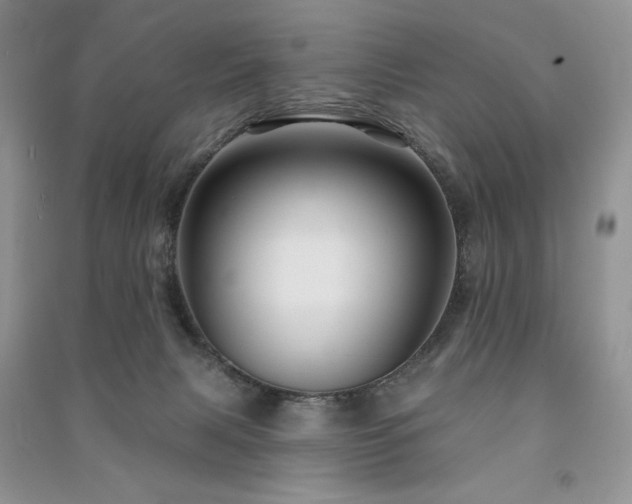 X0000091210079200708091356