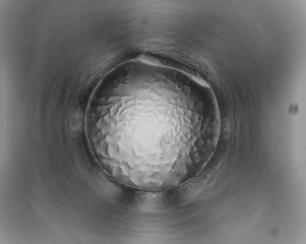 X0000091210081200708091356
