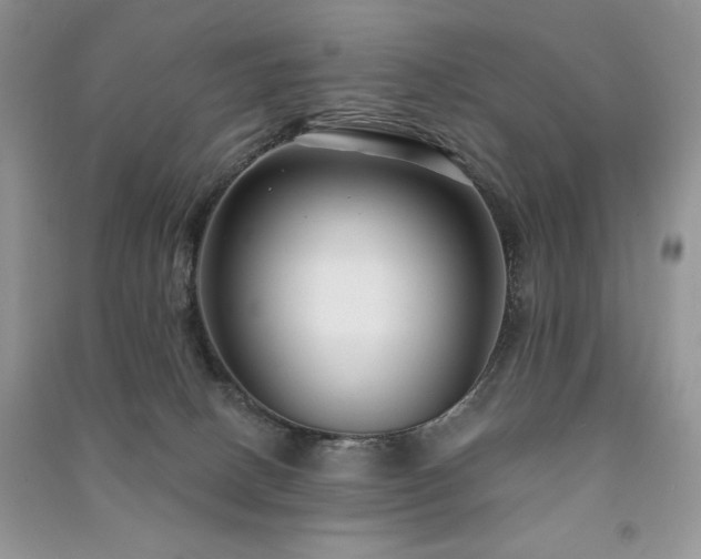 X0000091210082200708091356