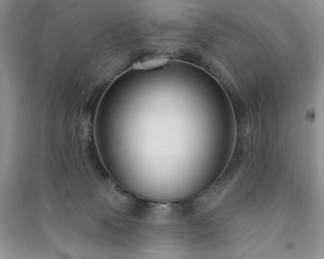 X0000091210083200708091356