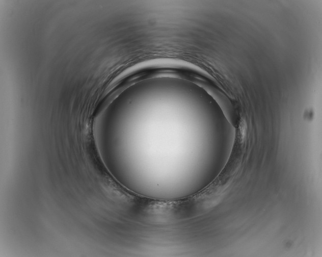 X0000091210084200708091356