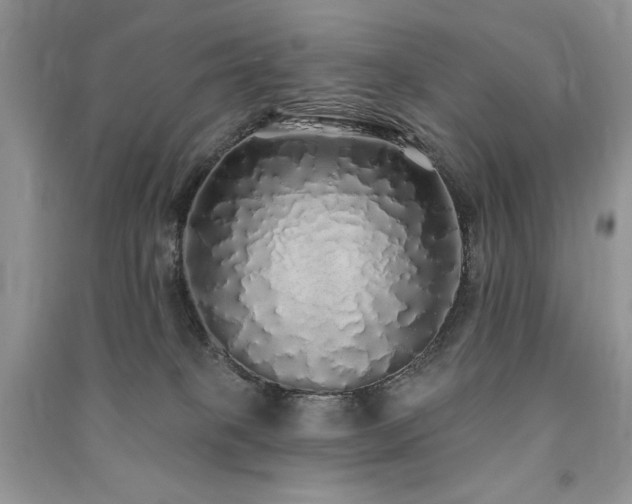 X0000091210085200708091356