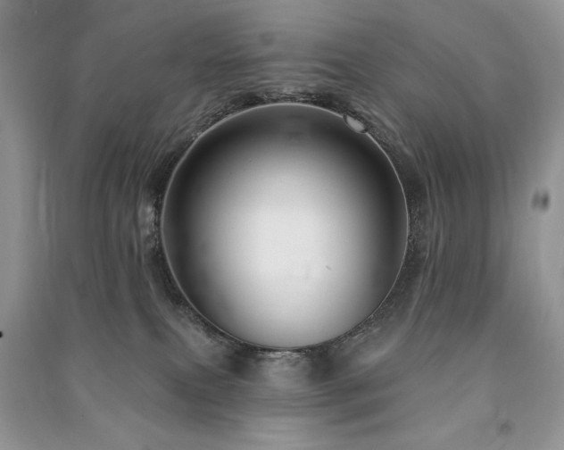 X0000091210087200708091356