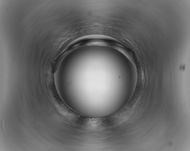 X0000091210088200708091356