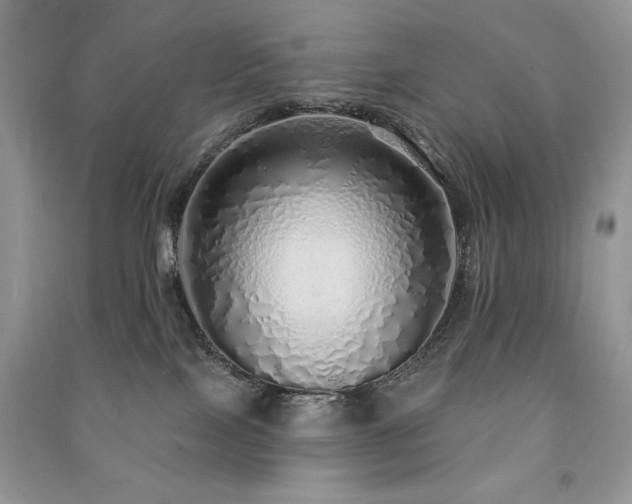 X0000091210089200708091356