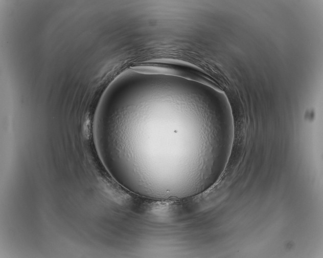 X0000091210090200708091356