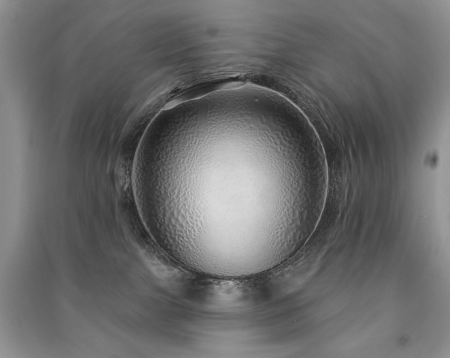X0000091210091200708091356