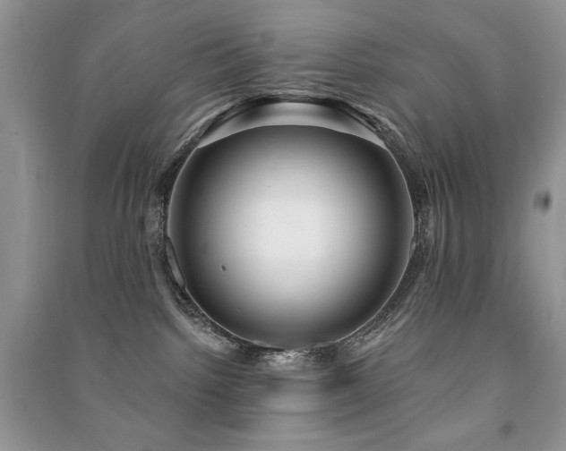 X0000091210092200708091356
