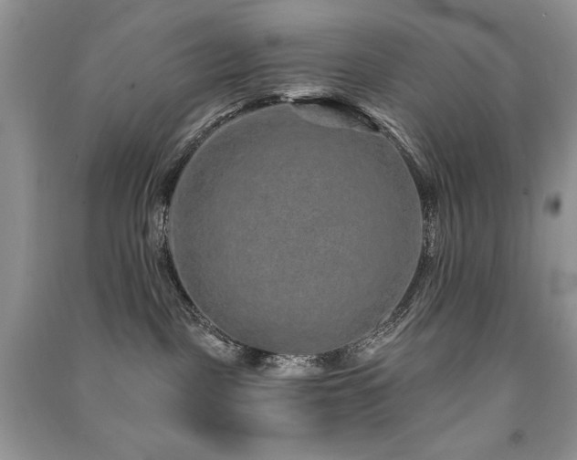 X0000091210093200708091356