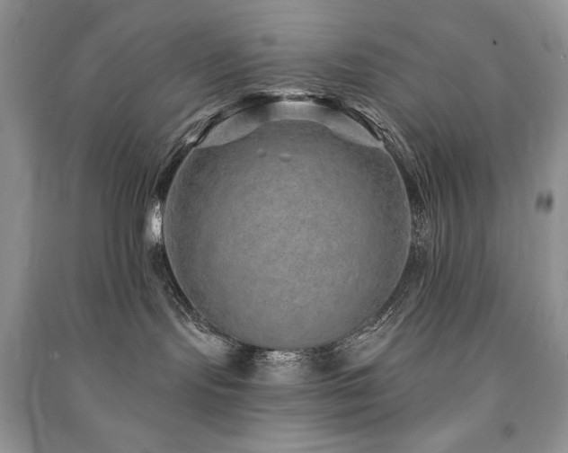 X0000091210095200708091356