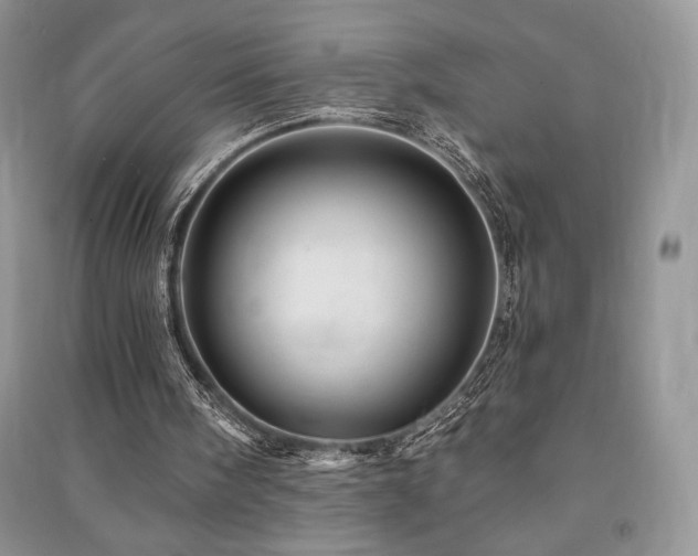 X0000091210098200708091355