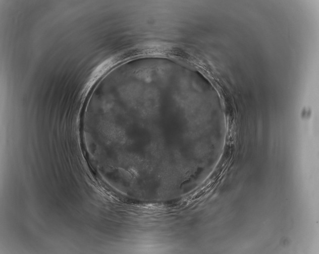 X0000091210099200708091355
