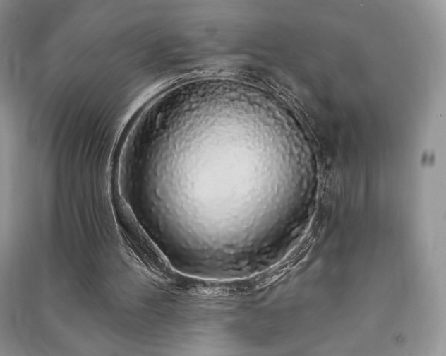 X0000091210100200708091355