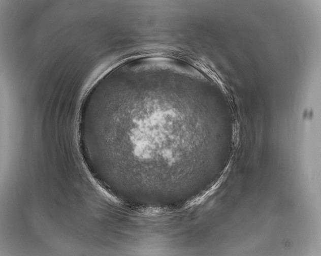 X0000091210101200708091355